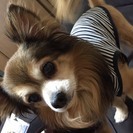お願いします