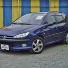 206SW XS 