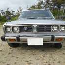  日産 バイオレット GL　 （グレー） セダンの画像
