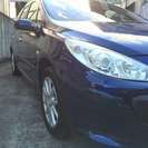  プジョー 307SW 2.0　パノラマルーフ　タイベル交換済み （ブルー） ステーションワゴンの画像