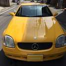  メルセデス・ベンツ SLKクラス SLK320　後期・イエロー　左H （イエロー） オープンの画像