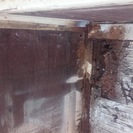 キャンター平ボディー1.5tの画像