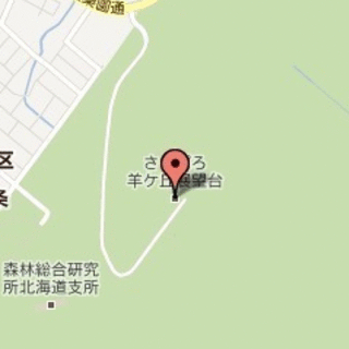 羊ヶ丘展望台で手打ちそば！～第9回 日本ダッタン新そば祭りin羊ヶ丘展望台～の画像
