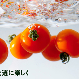 豊かな野菜生活への始まり　そうてつローゼン十日市場店「緑をたっぷ...