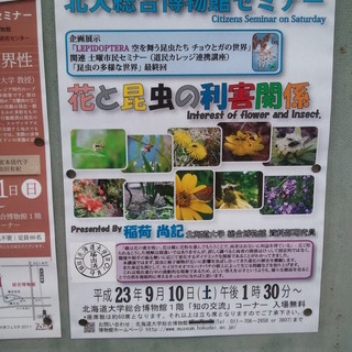 「花と昆虫の利害関係」講演◎北大総合博物館にて開催！
