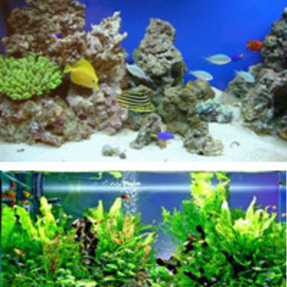 お台場に、『夏休み！FunFun水族館』＆『FunFunキッズめ...