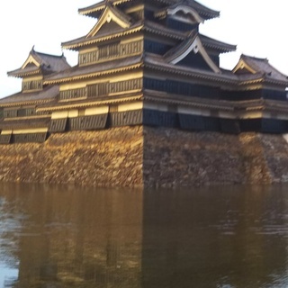 お友達募集