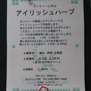 ダンケニーに学ぶ アイリッシュハープ。