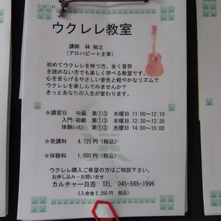 きっとあなたの人生が変わります。心を安らげるやさしい音色と軽やかなリズムでウクレレを楽しんでみませんか？の画像