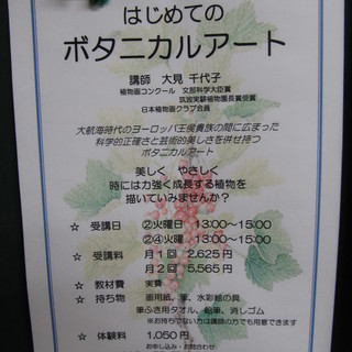 美しく、やさしく、時には力強く成長する植物を描きます。