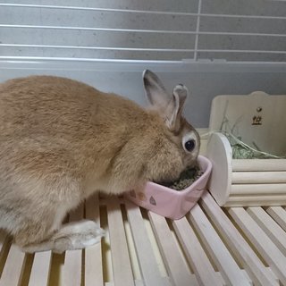 よろしくお願いします