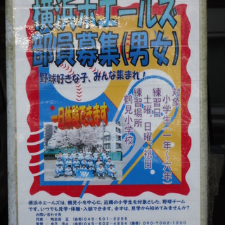 ☆横浜ホエールズ　部員募集！☆　／鶴見駅
