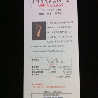 可愛らしい本格派・アイリッシュハープの世界