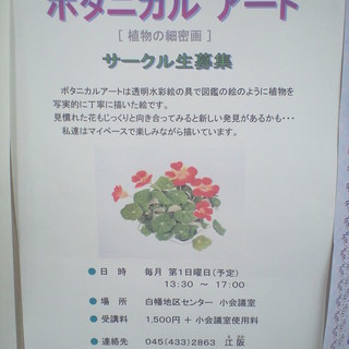 身近な植物の細密画を描くボタニカルアートサークル生募集中！