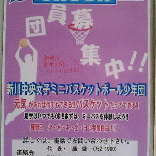 ミニバスで繋ぐ絆～ミニバス女子～