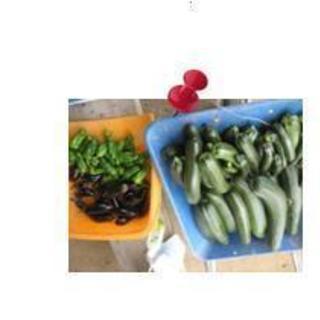 11/12 第四回 green drinks せたがや 「食欲の...