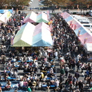 第３６回二五八祭　フリーマーケット参加者大募集