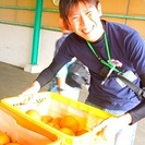 ※風通しがバツグンの社風なだけに、フラットな雰囲気※