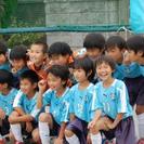 少年サッカーチーム『青葉FC』で明るく、楽しく、元気よく一緒にサッカーしませんか？｜横浜市青葉区の画像