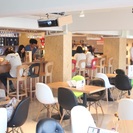 新大久保 Korean Cafe Dining　THE SECRETにて厨房担当を緊急募集!の画像
