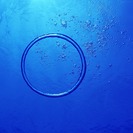 スキューバダイビングをお仕事にしませんか？の画像