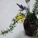 ♪ ♪ ♪　手作り紐・花結び・和歌・俳句・書道・日本伝統の由来と...