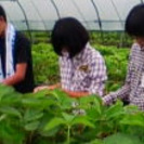 通信でも全日制と同じ高校卒業資格がとれるんです。の画像