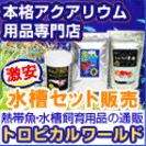 空間に癒しを与える、本格アクアリウム用品専門店【トロピカルワールド】