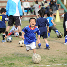 サッカー指導員（アシスタント）募集の画像