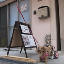 犬の車椅子・歩行器 製作・販売　『工房スイーピー』の画像