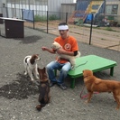 神奈川県に犬　猫避難所ができました。　　　　　　ＩＮ清川村