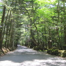 English Camp 7月、8月受講生募集中の画像