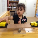 【完全会員制】 個別体験指導教室 infant classroom honu's（ホヌズ）の画像