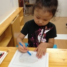 【完全会員制】 個別体験指導教室 infant classroom honu's（ホヌズ）の画像