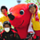 そでがうらサマーサイクルロードフェスタ