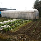 山鹿市小原_売家 - 不動産売買（マンション/一戸建て）