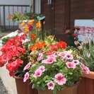 初心者＆女性のためのパソコン教室です！の画像