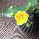 和心美茶道教室（裏千家）の画像