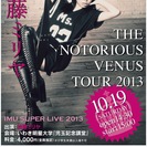 加藤ミリヤ THE NOTORIOUS VENUS TOUR 2013