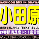街コンMix in 小田原　神奈川県、小田原駅周辺で飲み放題！食...