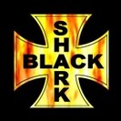 11月～12月出演バンド募集中！