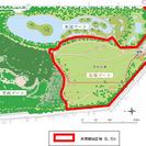 まつぶし緑の丘公園　フリマ＋コスモス祭り - 越谷市