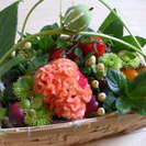 静岡県　下田フラワーデザインサロン　もねのにわ　伊豆フラワーアレンジメント　スクールの画像