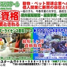 ドッグトリマー資格が取得できる県内最短期間で最安学費！の画像
