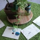 子どもに英語の楽しさを教えるお仕事！の画像