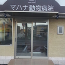 マハナ動物病院です。