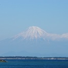 散骨 | 全国対応2.5万円プラン登場！・ライフサポートするが・快適な大型クルーザー - 冠婚葬祭