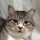 シニア世帯さま応募歓迎