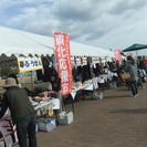  3/15@神戸 この春、国際NGOデビュー！インターン･ボラン...