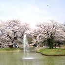 3/28(土)代々木公園お花見＜参加費：無料＞